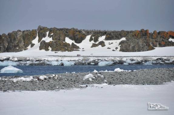 A praia e os rochedos de Turret Point, em King George Island, na Antártida